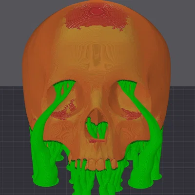 Mô hình hộp sọ người không hàm (Human Skull - Jaw Delete) in 3D