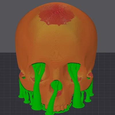 Mô hình hộp sọ người không hàm (Human Skull - Jaw Delete) in 3D