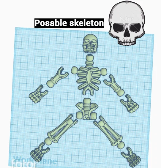 Mô hình bộ xương khớp nối linh hoạt (Posable Skeleton) V2.0 3D - Image 1