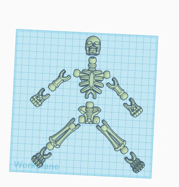 Mô hình bộ xương khớp nối linh hoạt (Posable Skeleton) V2.0 3D - Image 2