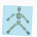 Mô hình bộ xương khớp nối linh hoạt (Posable Skeleton) V2.0 3D - Thumbnail 2