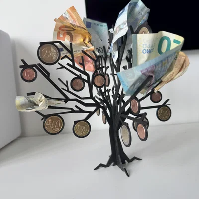 Cây Tiền (Money Tree)