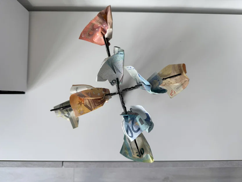 Cây Tiền (Money Tree) - Image 3