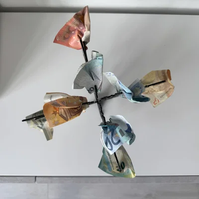 Cây Tiền (Money Tree)