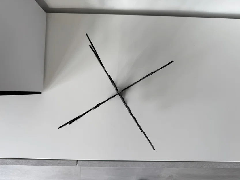 Cây Tiền (Money Tree) - Image 5