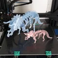 Bộ Xương Triceratops (Triceratops Skeleton) 17 Mảnh Lắp Ráp - Thumbnail 1