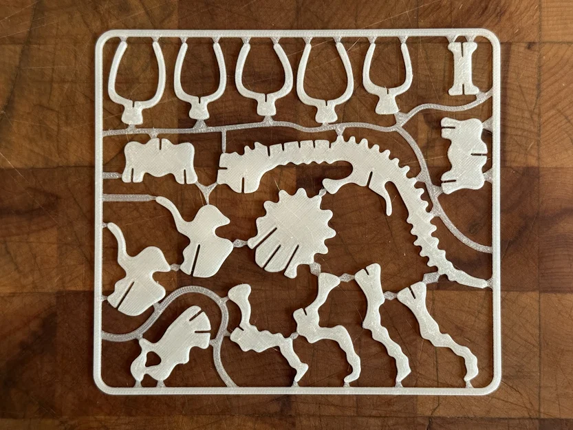 Triceratops Skeleton Kit Card – Kit card bộ xương Triceratops - Image 2