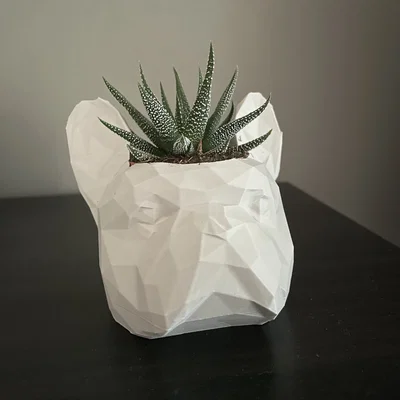 Chậu trồng cây hình đầu chó Bulldog Pháp Low Poly cực chất