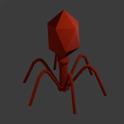 Mô hình 3D Bacteriophage: Giáo cụ trực quan về Virus thực khuẩn thể