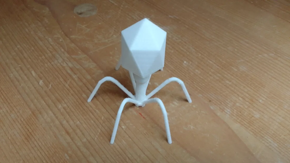 Mô hình 3D Bacteriophage: Giáo cụ trực quan về Virus thực khuẩn thể - Image 2