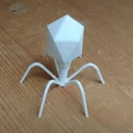 Mô hình 3D Bacteriophage: Giáo cụ trực quan về Virus thực khuẩn thể - Thumbnail 2