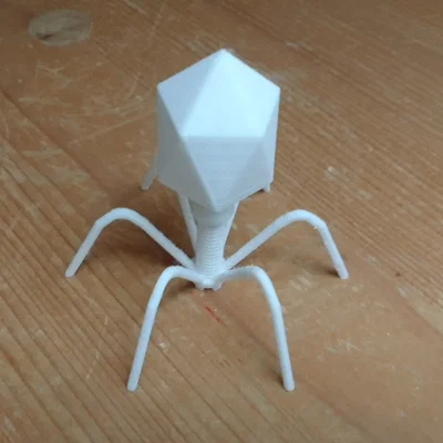 Mô hình 3D Bacteriophage: Giáo cụ trực quan về Virus thực khuẩn thể