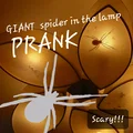 Mô hình nhện kinh dị trong đèn ngủ - Dùng để troll bạn bè - Thumbnail 1