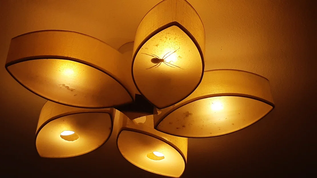 Mô hình nhện kinh dị trong đèn ngủ - Dùng để troll bạn bè - Image 4