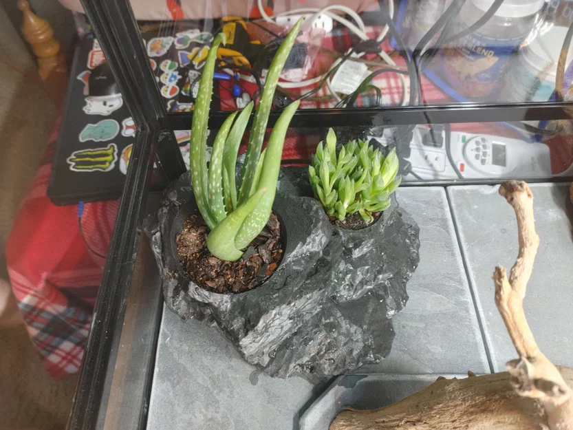 Chậu Trồng Cây Giả Đá Trang Trí Chuồng Bò Sát 3D - Image 1