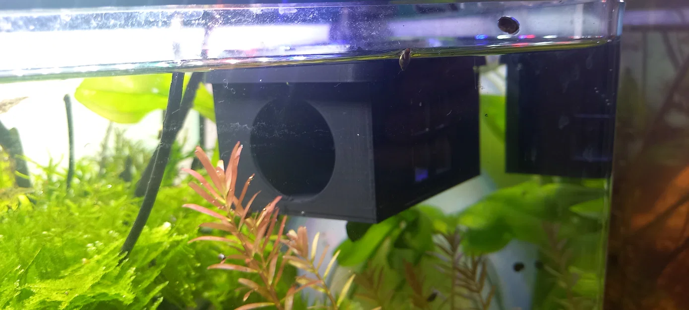 Nhà/Chỗ Núp Cá Betta Nổi (Floating Betta House/Hideout) - Image 1