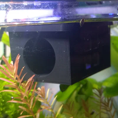 Nhà/Chỗ Núp Cá Betta Nổi (Floating Betta House/Hideout)