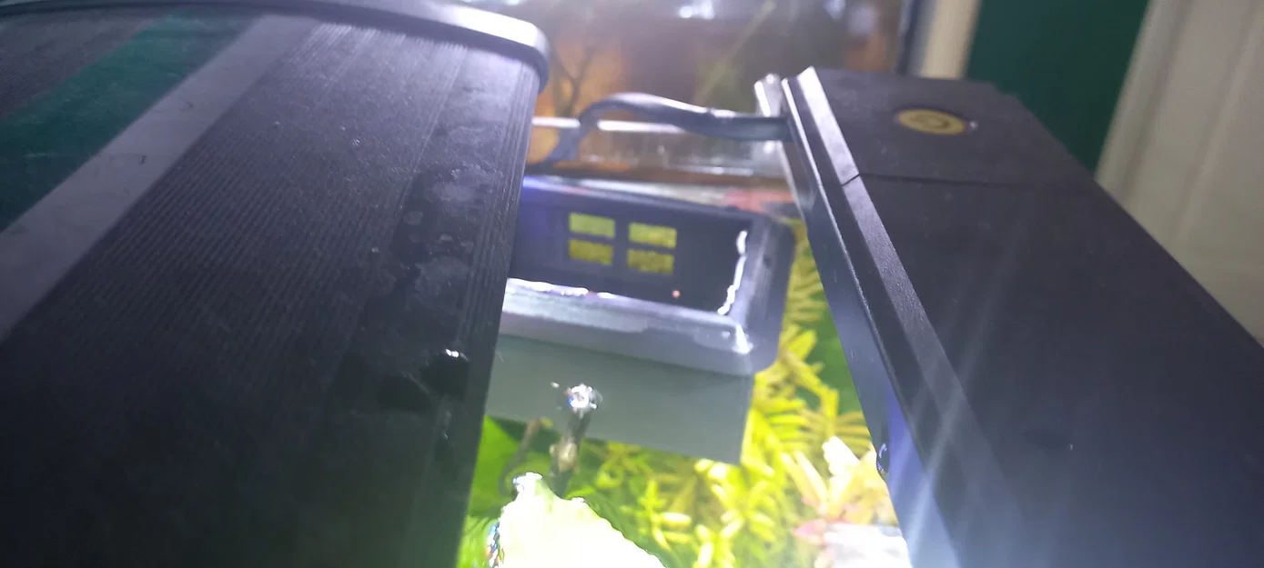 Nhà/Chỗ Núp Cá Betta Nổi (Floating Betta House/Hideout) - Image 3