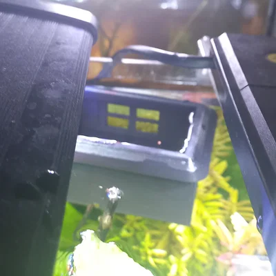 Nhà/Chỗ Núp Cá Betta Nổi (Floating Betta House/Hideout)