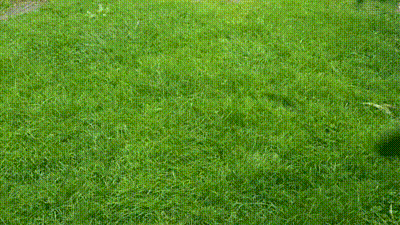 Collapsing Katana (Katana gập/thu gọn) - Image 2