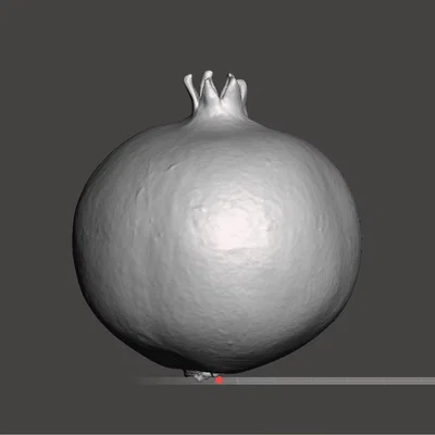 Mô hình quả lựu 3D (Pomegranate 3D Scanned) trang trí chân thực