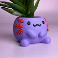 Chậu cây Axolotl (Axolotl Planter) siêu dễ thương - Thumbnail 8