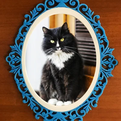 Khung Ảnh Trang Trí 3D Phong Cách Cổ Điển Sang Trọng