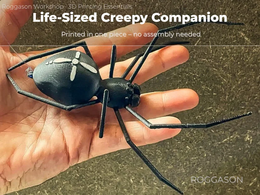 Nhện Halloween Rùng Rợn (Creepy Halloween spider) - Image 4