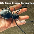 Nhện Halloween Rùng Rợn (Creepy Halloween spider) - Thumbnail 4