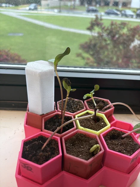 Nắp đậy nhà kính 3D (Greenhouse cover) cho chậu cây lục giác - Image 1