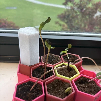 Nắp đậy nhà kính 3D (Greenhouse cover) cho chậu cây lục giác