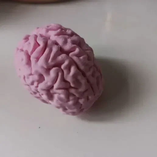 Mô hình bộ não (Cerebro/Brain) dựa trên ảnh chụp MRI - Image 2