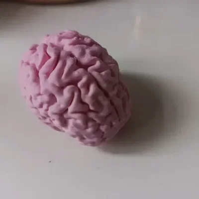 Mô hình bộ não (Cerebro/Brain) dựa trên ảnh chụp MRI