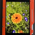 Ốp lưng hầm hố (Rugged case) cho iPad mini 6/7 - Thumbnail 5