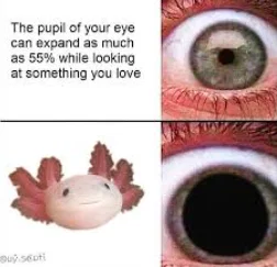 Mô hình GrabPack Purple Hand (Bàn tay tím) - Image 2