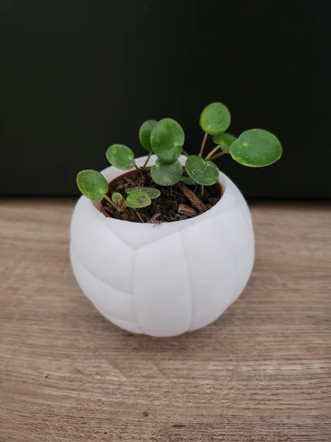 Chậu cây hình quả bóng chuyền – Chậu trang trí thể thao cho chậu cây 6 cm - Image 1