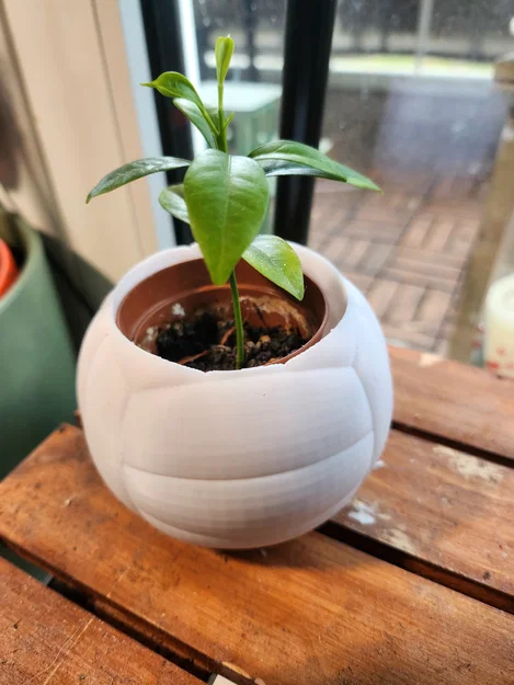 Chậu cây hình quả bóng chuyền – Chậu trang trí thể thao cho chậu cây 6 cm - Image 2