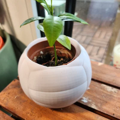 Chậu cây hình quả bóng chuyền – Chậu trang trí thể thao cho chậu cây 6 cm