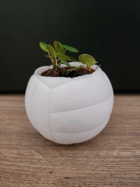 Chậu cây hình quả bóng chuyền – Chậu trang trí thể thao cho chậu cây 6 cm - Image 3