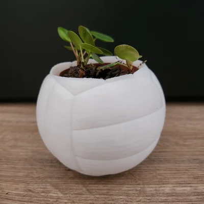 Chậu cây hình quả bóng chuyền – Chậu trang trí thể thao cho chậu cây 6 cm