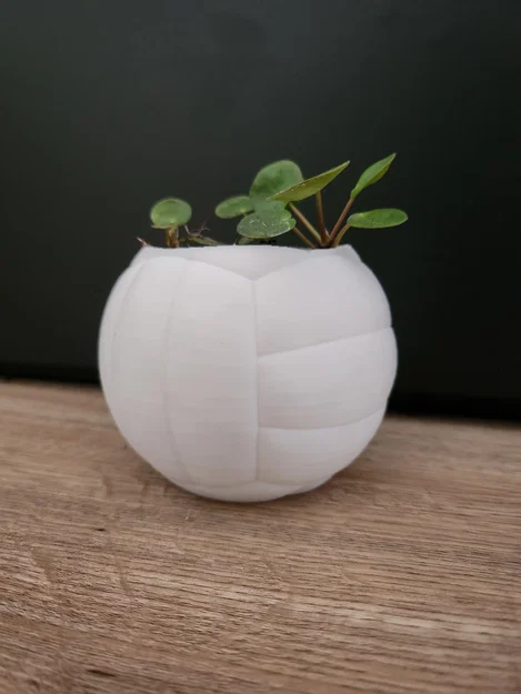 Chậu cây hình quả bóng chuyền – Chậu trang trí thể thao cho chậu cây 6 cm - Image 4