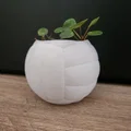 Chậu cây hình quả bóng chuyền – Chậu trang trí thể thao cho chậu cây 6 cm - Thumbnail 4