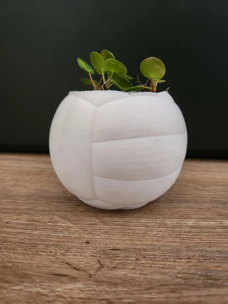 Chậu cây hình quả bóng chuyền – Chậu trang trí thể thao cho chậu cây 6 cm - Image 5