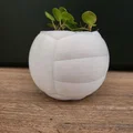 Chậu cây hình quả bóng chuyền – Chậu trang trí thể thao cho chậu cây 6 cm - Thumbnail 5