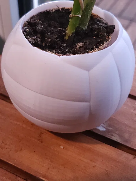 Chậu cây hình quả bóng chuyền – Chậu trang trí thể thao cho chậu cây 6 cm - Image 6