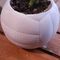 Chậu cây hình quả bóng chuyền – Chậu trang trí thể thao cho chậu cây 6 cm - Thumbnail 6