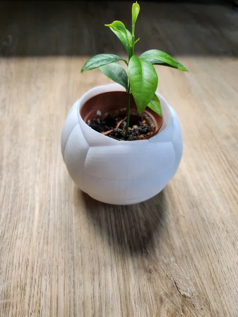 Chậu cây hình quả bóng chuyền – Chậu trang trí thể thao cho chậu cây 6 cm - Image 7