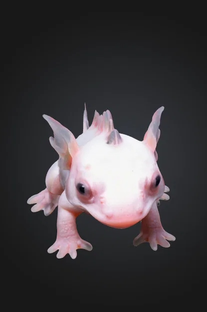 Mô hình 3D chú rồng nhỏ Baby Dragon dễ thương cho máy in nhựa - Image 1
