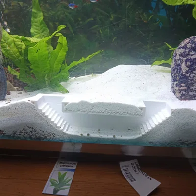 Mô hình hầm trú ẩn cho tép cảnh (Tunnel Aquarium) in 3D
