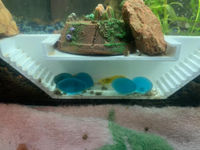 Mô hình hầm trú ẩn cho tép cảnh (Tunnel Aquarium) in 3D - Image 2